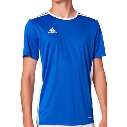 Camiseta entrenamiento Adidas